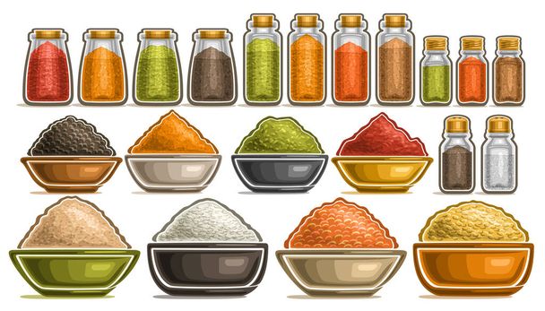 Vector Set of different Spices, collection of isolated illustrations with healthy cereals in pots, diverse fresh hot spices in dishes, group of assorted dried seasonings in glass containers on white. - Vector, Image
