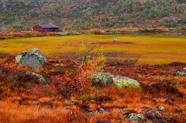 Rural mountain cabins at the mountains, Norway - 写真・画像