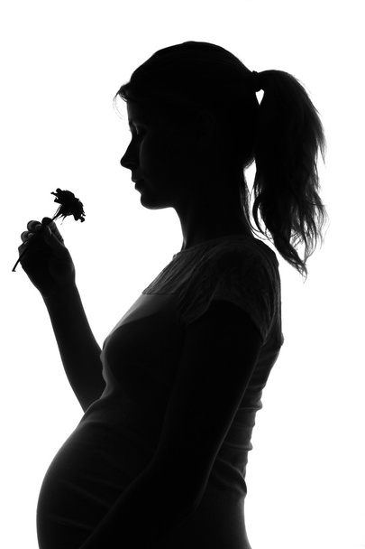 Silhouette of a pregnant woman - Zdjęcie, obraz