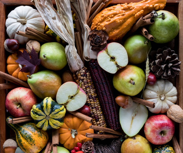 Assortiment de fruits d'automne, de gourdes et de décorations d'en haut. Concept d'automne. - Photo, image