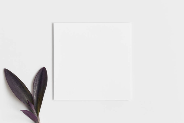 Invitation square card mockup with a flower. - Photo, Image