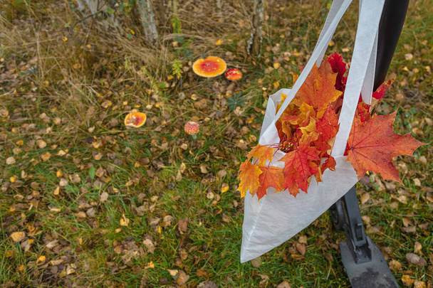 Sur le guidon du scooter est accroché un sac avec des feuilles d'érable rouge en elle. Gros plan. dans le contexte de l'herbe d'automne et les champignons. Il ya une place pour le texte - Photo, image