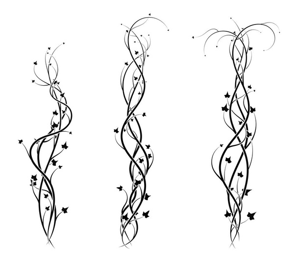 элементы плетения плюща для декора растений. иллюстрации - Фото, изображение