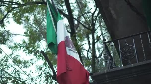 4k Bandera Mexicana moviéndose bajo un árbol grande - Imágenes, Vídeo