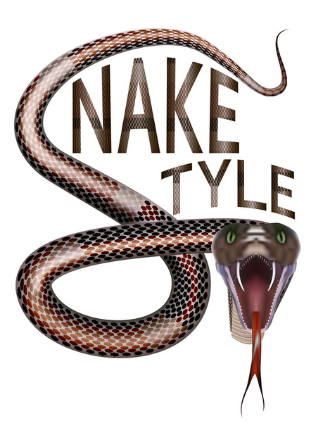 estilo de serpente
 - Vetor, Imagem