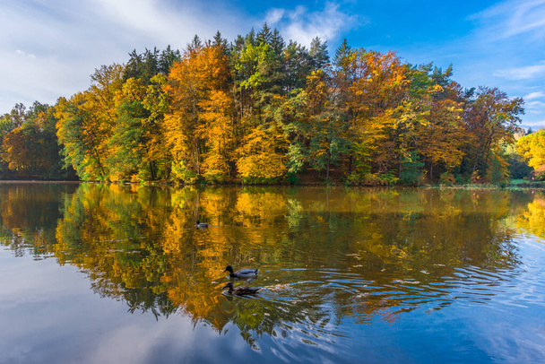 Mañana de otoño en el lago Thal cerca de Graz, región de Estiria, Austria - Foto, imagen