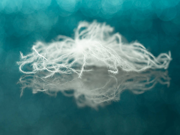 white bird fluff on a blue background with round bokeh effect, close-up, copy space - Photo, Image