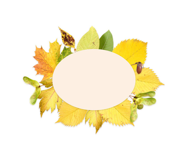 Letterhead template: white sheet of paper with autumn leaves isolated on white background - Foto, afbeelding