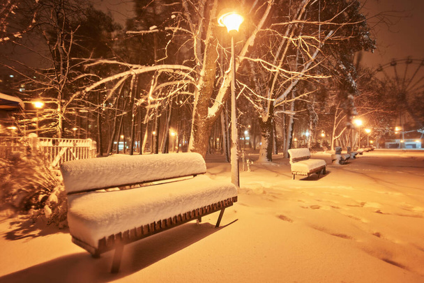Widok ławki na choinkę i świecącą latarnię przez śnieg. Nocny strzał. - Zdjęcie, obraz