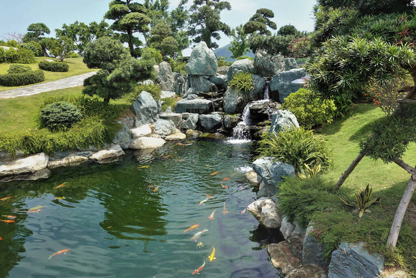Puiston kulma japanilaiseen tyyliin. Värikkäät kalat uivat joessa. Pankeilla on kiviä, koristetrooppisia kasveja. Japani - Valokuva, kuva