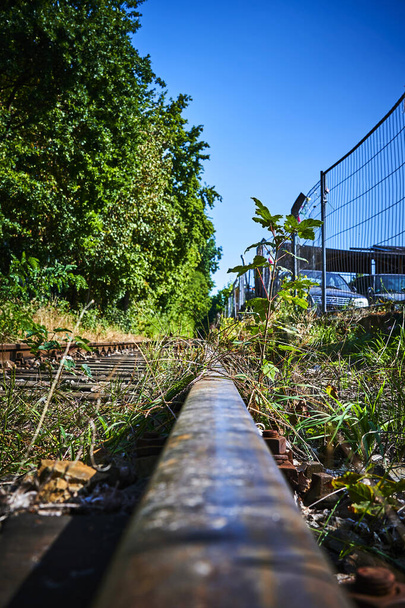 Seldom used, weathered railway line that is gradually overgrown by plants. The focus lies on the plants in the middle of the photo. - Photo, Image