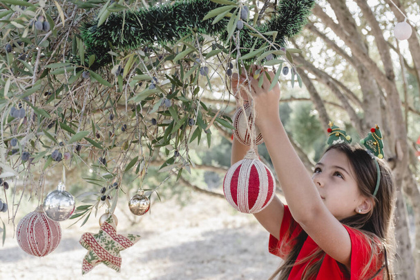 A girl hanging Christmas decorations from the branches of an olive tree in the field, wearing a Christmas headband - Photo, Image