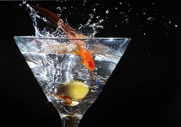 Goldfish Martini. - Фото, зображення