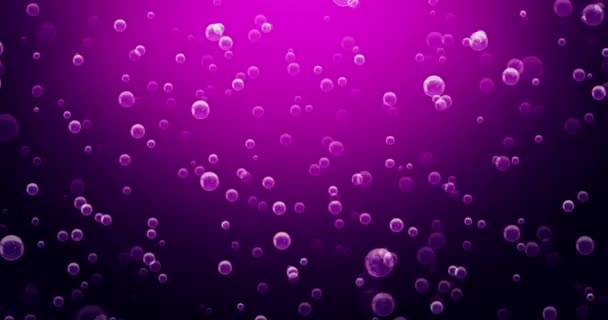 Efervescencias Burbujas en fondo rosa, Bucle - Imágenes, Vídeo