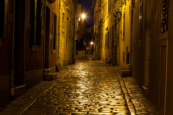 Scene of a cobblestoned street in the historic center of Rovinj in Croatia during night in summer - Photo, image