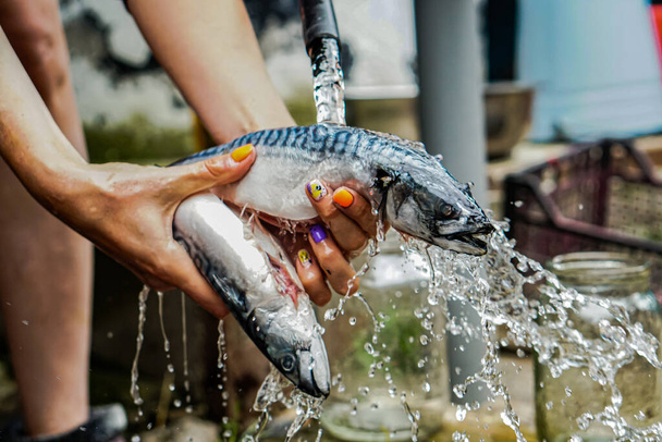Vrouwen is het reinigen en wassen van vis met handen - Foto, afbeelding