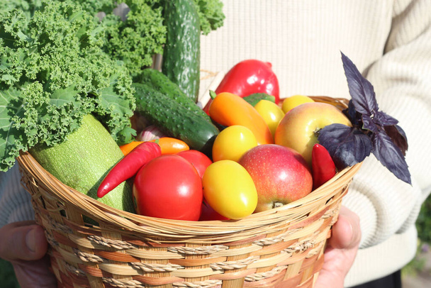 Adam sepetin içinde sebze tutuyor. Sağlıklı beslenme - Fotoğraf, Görsel