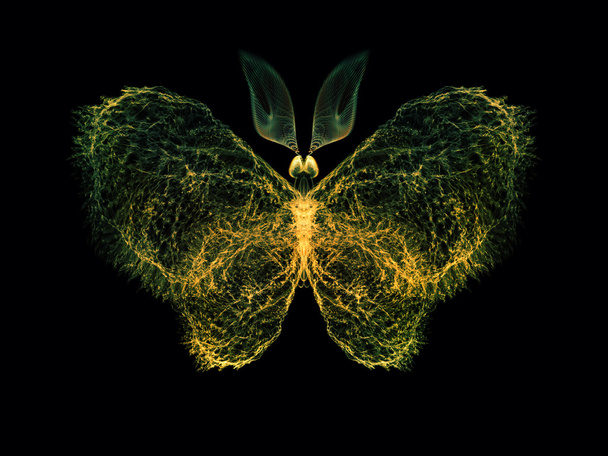 Virtual Butterfly - Photo, Image