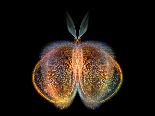 Metaphorical Butterfly - Fotó, kép