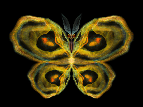 Digital Butterfly - Fotoğraf, Görsel