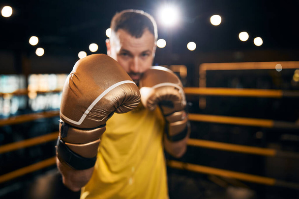 Boxing champion standing in a defensive pose - Photo, image