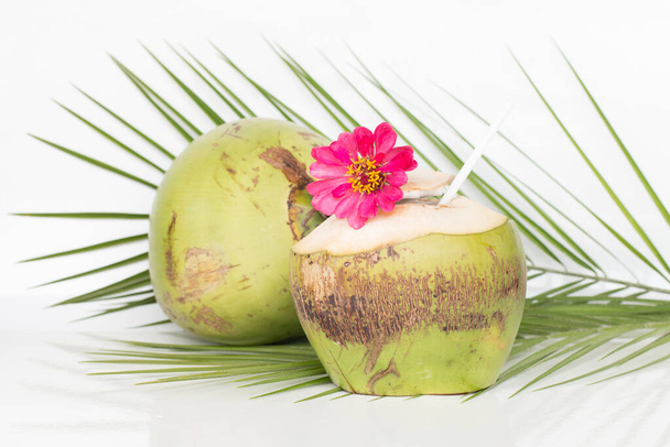 Koktajl tropikalny z organiczną surową wodą kokosową. - Zdjęcie, obraz
