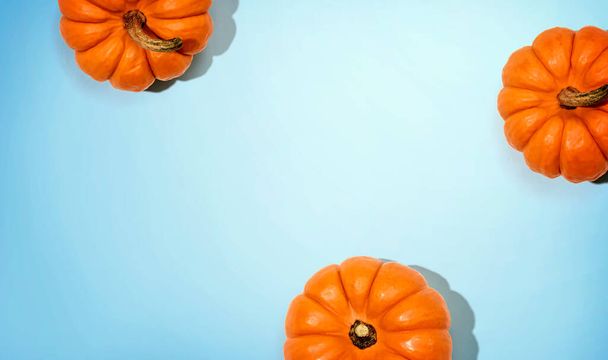 Autumn orange pumpkins overhead view - Фото, зображення