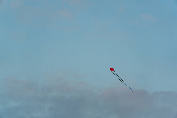 Cerf-volant rouge volant sur fond de ciel bleu - Photo, image