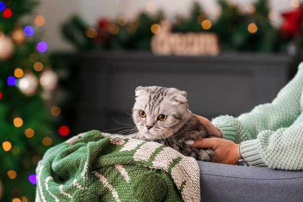 Chat drôle mignon avec propriétaire à la maison la veille de Noël - Photo, image