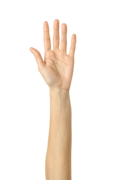 Raised hand voting or reaching. Woman hand with french manicure gesturing isolated on white background. Part of series - Zdjęcie, obraz