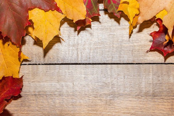 Hojas coloridas de otoño sobre un fondo de madera claro. - Foto, imagen
