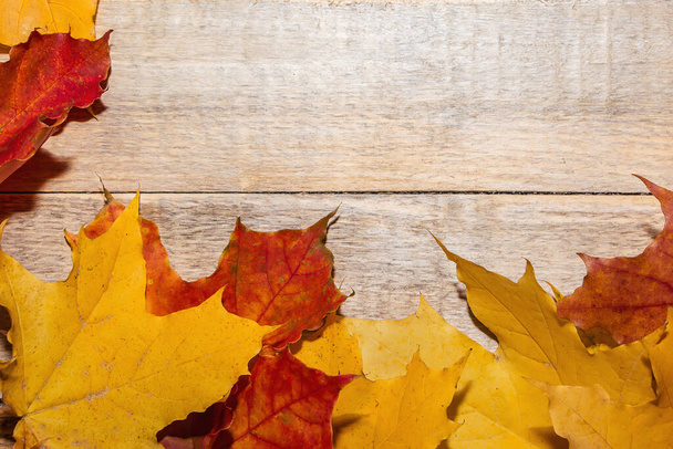 Žluté a červené podzimní listy na světle dřevěném pozadí. Místo pro text - Fotografie, Obrázek
