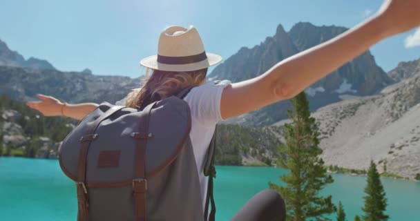 Woman enjoying nature and lake with mountains view. Back view traveler in nature - Footage, Video