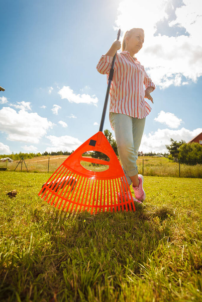 Unusual angle of woman raking leaves using rake. Person taking care of garden house yard grass. Agricultural, gardening equipment concept. - Photo, Image