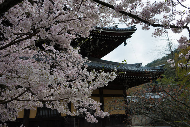 Kjóto, Japonsko - chrám Nanzen-ji v japonském Kjótu. Císař Kameyama ji založil v roce 1291 na místě svého předchozího samostatného paláce. - Fotografie, Obrázek
