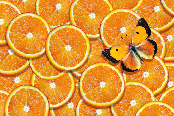 natural orange background. colorful orange butterfly on orange slices. orange slices texture background - Photo, Image