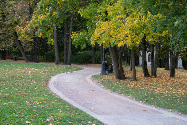A red colored path lined with road tiles at the edges, meanders between large trees on a green lawn strewn with yellow leaves, autumn - Foto, Bild