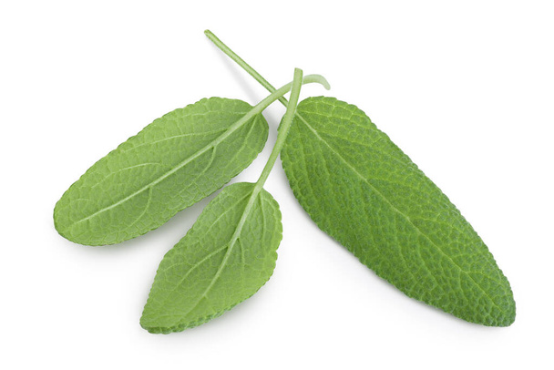 Sage herb leaves isolated on white background with clipping path and full depth of field. Top view. Flat lay - Photo, Image