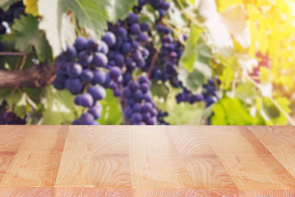 Empty wooden table on the background of blurred vineyard - Foto, Imagem