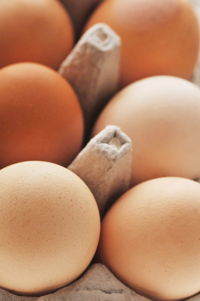 packed eggs  - Fotografie, Obrázek