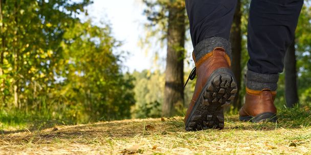 Man hiking in the woods in Autumn pine forest. Men boots walking in the woods on sunny day. hiking concept, outdoor lifestyle. Hiking man with trekking boots on the trai - Фото, зображення