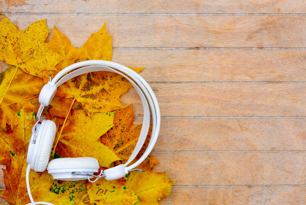 White headphones and maple leaves on a wooden table  - Photo, image