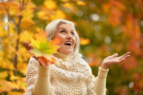 mulher bonita sênior feliz no parque de outono  - Foto, Imagem