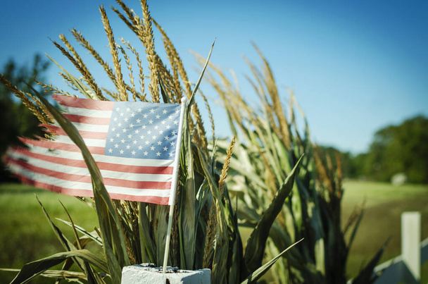  Флаг США в сельской местности - Фото, изображение