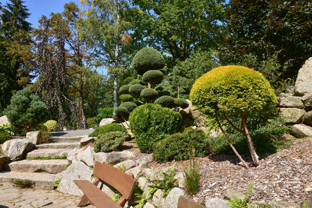 Ένας όμορφος ιαπωνικός κήπος, υπέροχα δέντρα, φυτά και βράχοι επισκέφθηκαν κατά τη διάρκεια ενός ταξιδιού γύρω από την Πολωνία. - Φωτογραφία, εικόνα