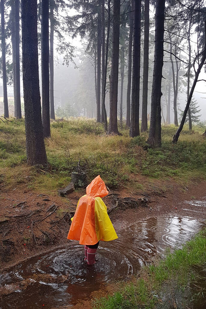 Esőkabátos kislány, aki egy folyóban sétál csizmában az erdőben egy ködös napon, ködben az erdőben. - Fotó, kép
