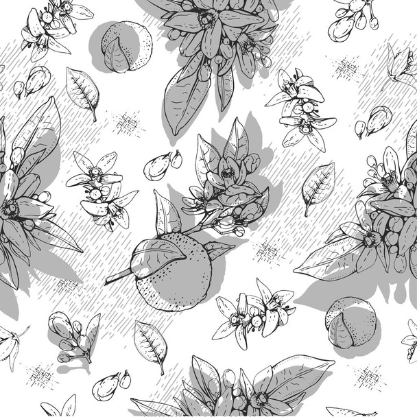 苦いオレンジの花、芽、果物とシームレスなパターン。手描きの詳細なスケッチ、ベクトル植物図. - ベクター画像