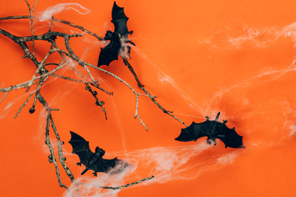 Pequeños juguetes murciélagos en rama de árbol seco con red de araña para Halloween - Foto, Imagen