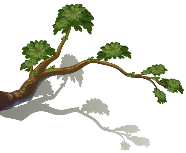une branche d'arbre - Vecteur, image