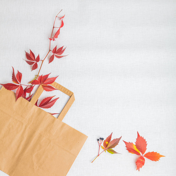 Red leaves of grapes in a paper bag. There is a place for text On a white background. View from above . Autumn layout. - Photo, Image